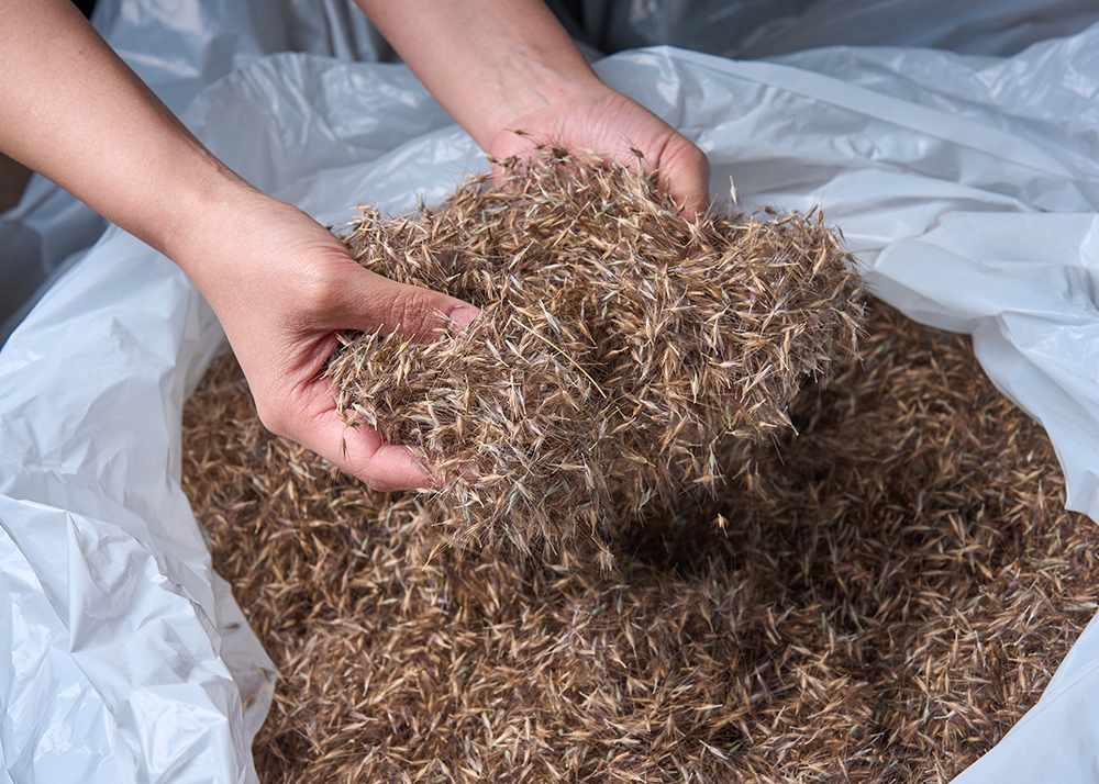 スカイシード株式会社