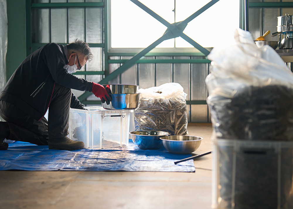 スカイシード株式会社