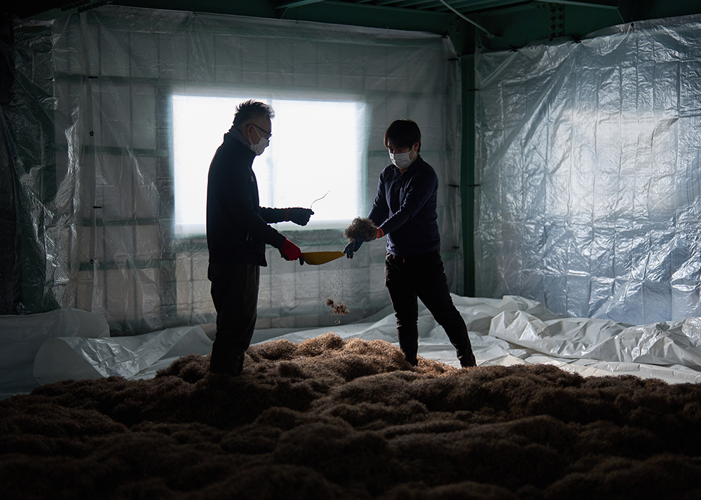 スカイシード株式会社