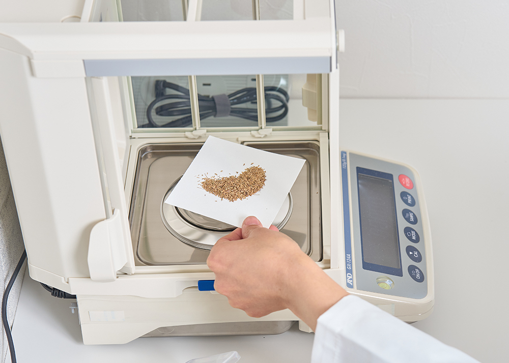 スカイシード株式会社