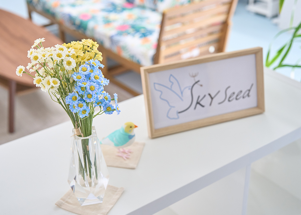 スカイシード株式会社