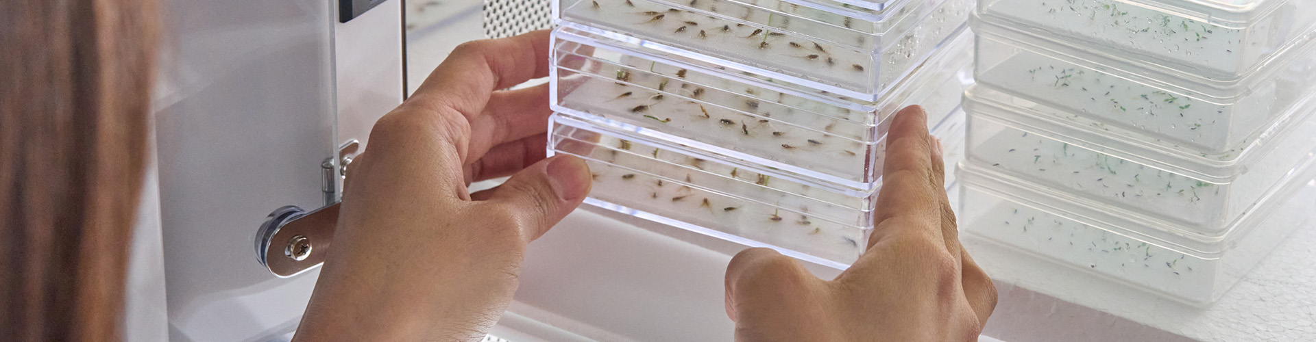 キービジュアル