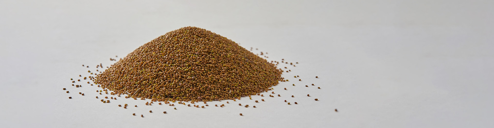 キービジュアル