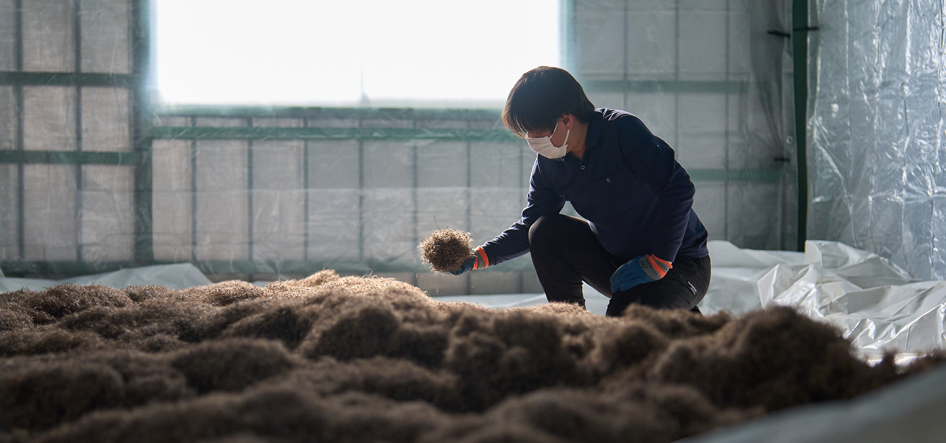 メインビジュアル