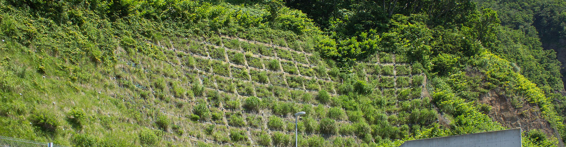 キービジュアル