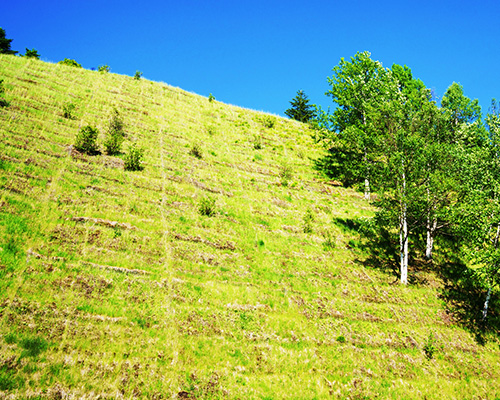 斜面・法面緑化/インフラ造成