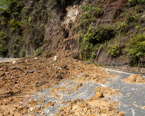 災害復旧/航空緑化