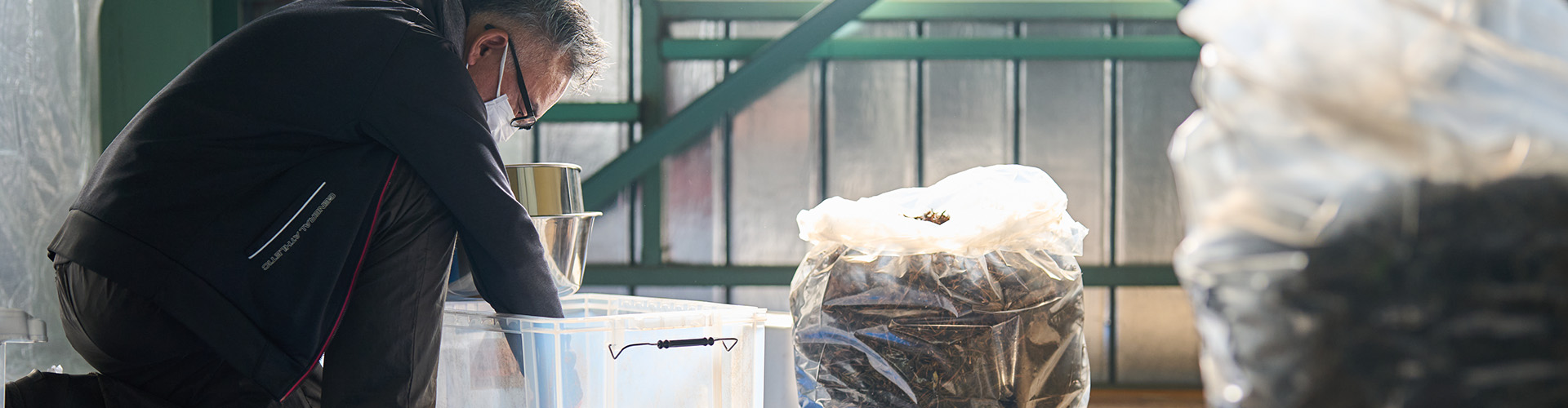 キービジュアル