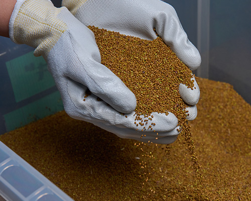 スカイシードの強み