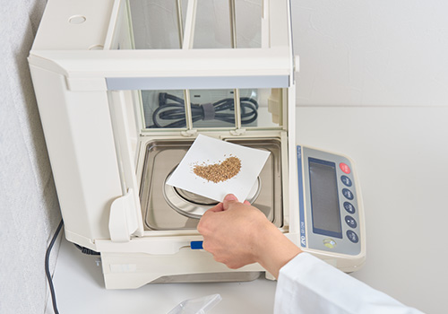 緑化計画立案・サポート業務